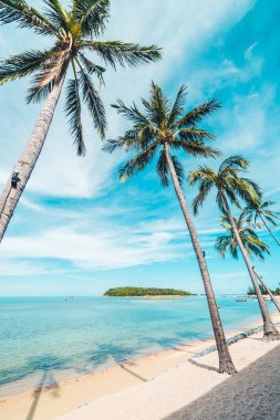 Güzel tropikal plaj deniz ve kum mavi gökyüzü ve beyaz bulut seyahat ve tatil için Hindistan cevizi hurma ağacı ile