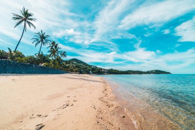 Güzel tropikal plaj deniz ve kum mavi gökyüzü ve beyaz bulut seyahat ve tatil için Hindistan cevizi hurma ağacı ile