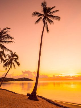 Güzel tropikal plaj deniz ve okyanus ile Hindistan cevizi hurma ağacı gündoğumu zaman seyahat ve tatil için