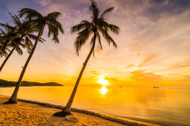 Günbatımı zaman tropik cennet ada plaj ve deniz ile Hindistan cevizi palmiye ağacı üzerinde tatil ve tatil için