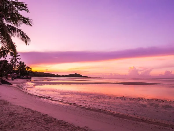 Vacker Tropisk Strand Havet Och Havet Med Coconut Palm Tree — Stockfoto