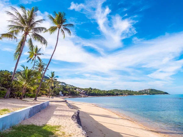 Tropisch Strand Zee Met Coconut Palm Tree Voor Reizen Vakantie — Stockfoto