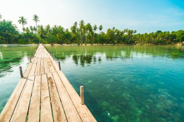 Ahşap köprü ya da plaj ve deniz Hindistan cevizi hurma ağacı - tatil tatil ve seyahat kavramı ile cennet adası iskelede