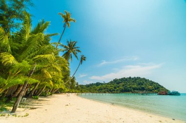 Güzel tropikal plaj ve deniz paradise Island Seyahat ve tatil için Hindistan cevizi hurma ağacı
