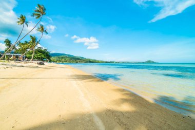 Güzel tropikal plaj ve Hindistan cevizi hurma ağacı Cennet Adası