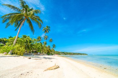 Güzel tropikal plaj deniz ve kum mavi gökyüzü ve beyaz bulut seyahat ve tatil için Hindistan cevizi hurma ağacı ile