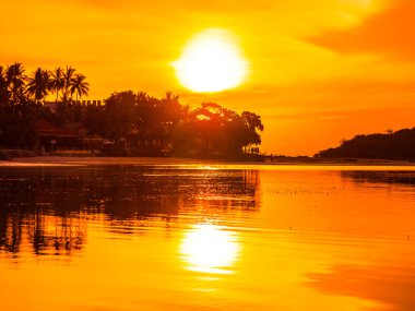 Güzel tropikal plaj deniz ve okyanus ile Hindistan cevizi hurma ağacı gündoğumu zaman seyahat ve tatil için