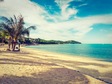 Güzel tropikal plaj ve deniz ile Hindistan cevizi hurma ağacının seyahat ve tatil