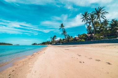 Güzel tropikal plaj deniz ve kum mavi gökyüzü ve beyaz bulut seyahat ve tatil için Hindistan cevizi hurma ağacı ile