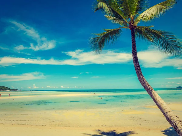 Hermosa Playa Tropical Mar Con Palmera Coco Para Viajes Vacaciones —  Fotos de Stock