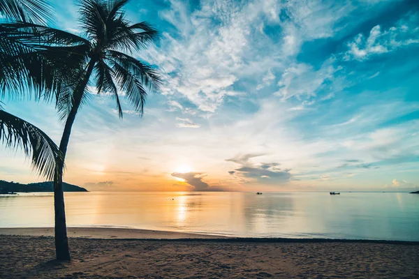 Günbatımı zaman tropik cennet ada plaj ve deniz ile Hindistan cevizi palmiye ağacı üzerinde tatil ve tatil için