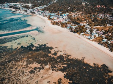 Güzel tropikal plaj ve deniz hurma ve koh samui Adası seyahat ve tatil için diğer ağacında havadan görünümü
