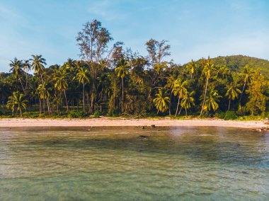 Seyahat ve tatil için adada güzel tropikal plaj ve deniz ağaçları ile havadan görünümü