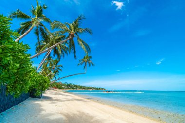 Güzel tropikal plaj deniz ve kum mavi gökyüzü ve beyaz bulut seyahat ve tatil için Hindistan cevizi hurma ağacı ile