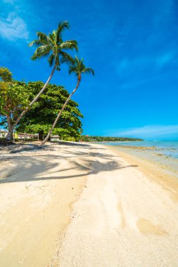 Güzel tropikal plaj deniz ve kum mavi gökyüzü ve beyaz bulut seyahat ve tatil için Hindistan cevizi hurma ağacı ile