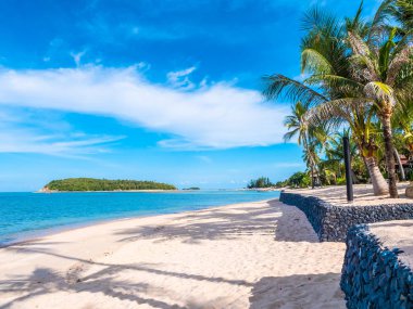 Güzel tropikal plaj ve deniz ile Hindistan cevizi hurma ağacının seyahat ve tatil