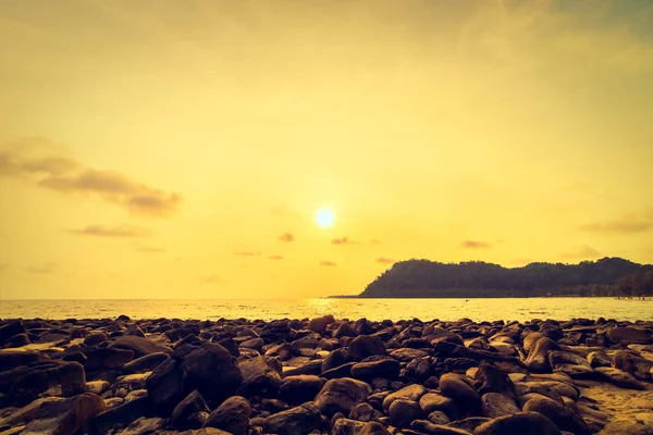 Wunderschöner Tropischer Strand Und Meer Mit Kokospalmen Paradiesinsel Bei Sonnenuntergang — Stockfoto