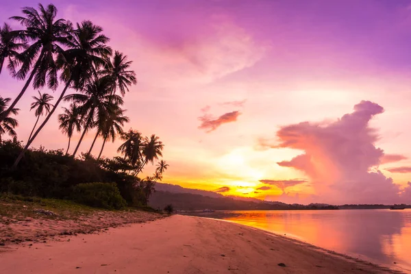 Beautiful Outdoor View Ocean Beach Tropical Coconut Palm Tree Sunrise — Stock Photo, Image