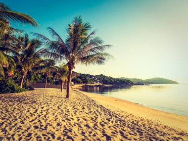 Güzel tropikal plaj ve deniz ile Hindistan cevizi hurma ağacının seyahat ve tatil