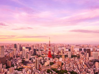Japonya'da günbatımı zaman şehirde bina mimari ve tokyo kule güzel havadan görünümü