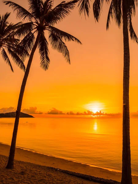 Schöner Tropischer Strand Meer Und Ozean Mit Kokospalmen Bei Sonnenaufgang — Stockfoto