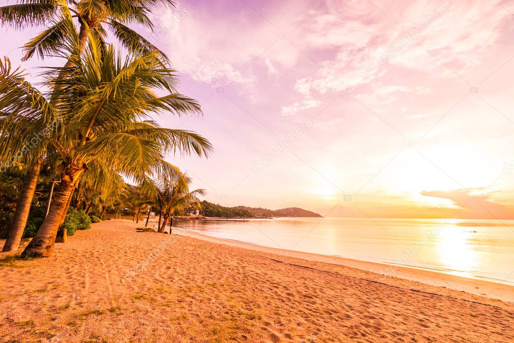 At sunset time on the tropical paradise island beach and sea with coconut palm tree for holiday and vacation