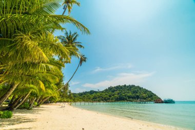 Güzel tropikal plaj ve deniz paradise Island Seyahat ve tatil için Hindistan cevizi hurma ağacı
