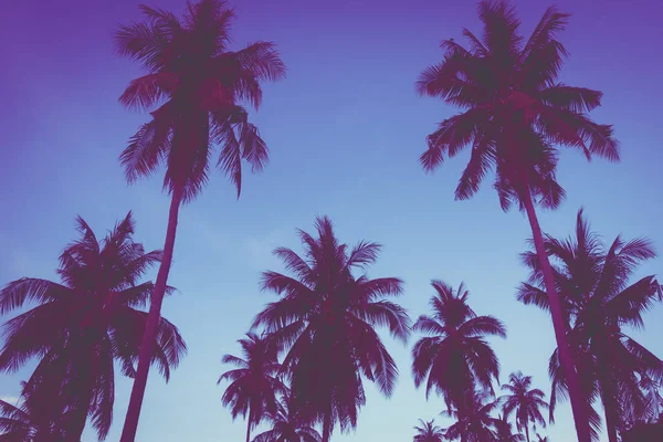 Schöne Außenansicht Mit Tropischer Natur Und Silhouette Kokospalme Himmel Bei — Stockfoto