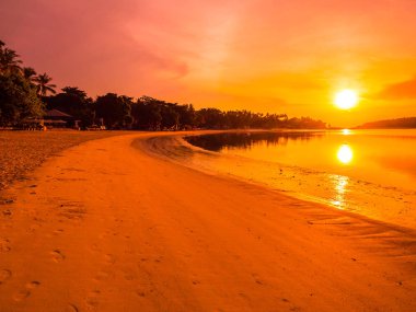 Güzel tropikal plaj deniz ve okyanus ile Hindistan cevizi hurma ağacı gündoğumu zaman seyahat ve tatil için