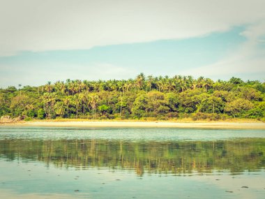 Güzel tropikal plaj ve deniz ile Hindistan cevizi hurma ağacının seyahat ve tatil
