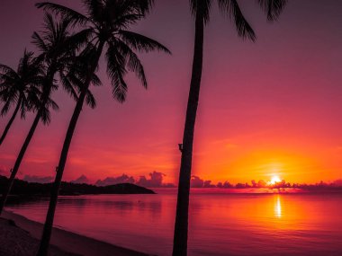 Güzel tropikal plaj deniz ve okyanus ile Hindistan cevizi hurma ağacı gündoğumu zaman seyahat ve tatil için
