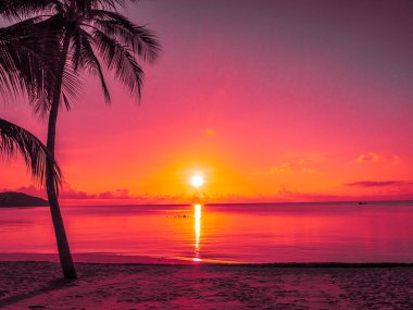 Güzel tropikal plaj deniz ve okyanus ile Hindistan cevizi hurma ağacı gündoğumu zaman seyahat ve tatil için