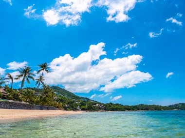 Güzel tropikal plaj ve deniz ile Hindistan cevizi hurma ağacının seyahat ve tatil