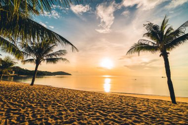 Günbatımı zaman tropik cennet ada plaj ve deniz ile Hindistan cevizi palmiye ağacı üzerinde tatil ve tatil için