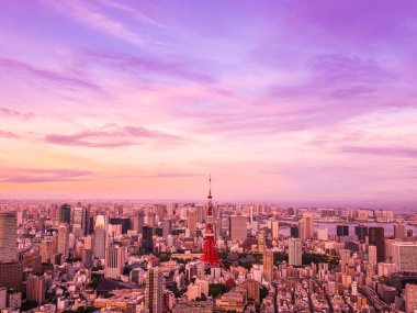 Japonya'da günbatımı zaman şehirde bina mimari ve tokyo kule güzel havadan görünümü