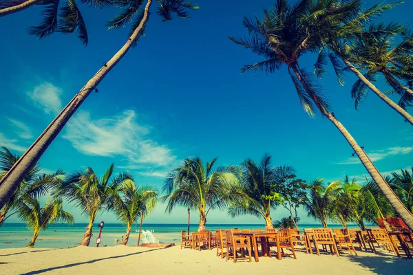 Beautiful Outdoor Sea Ocean View Umbrella Chair Coconut Palm Tree — Stock Photo, Image
