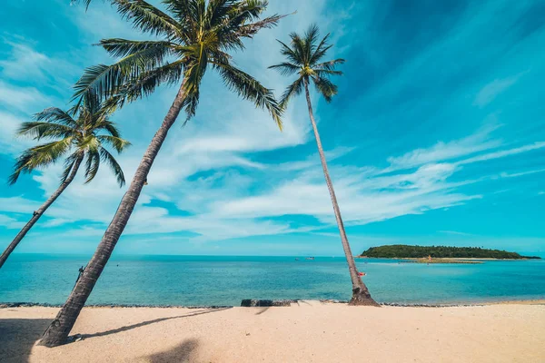 Красивый Тропический Пляж Море Песок Кокосовой Пальмой Голубом Небе Белое — стоковое фото