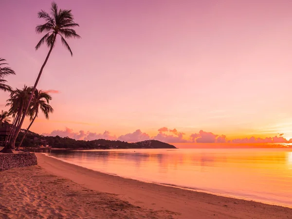 해변에서 바다와 코코넛 야자수와 — 스톡 사진