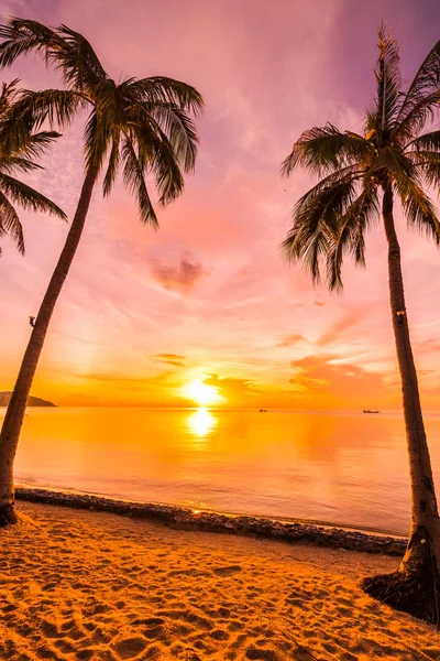 Bei Sonnenuntergang Auf Dem Tropischen Paradies Insel Strand Und Meer — Stockfoto