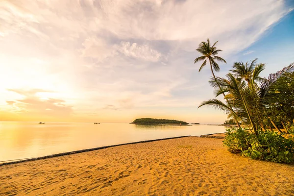 Закате Пляже Острова Парадизе Море Кокосовой Пальмой Отдыха — стоковое фото