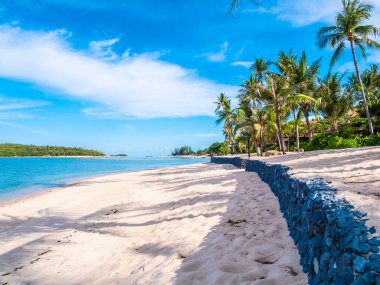 Güzel tropikal plaj ve deniz ile Hindistan cevizi hurma ağacının seyahat ve tatil