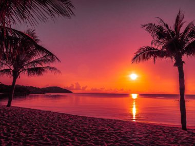 Güzel tropikal plaj deniz ve okyanus ile Hindistan cevizi hurma ağacı gündoğumu zaman seyahat ve tatil için