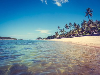 Güzel tropikal plaj ve deniz ile Hindistan cevizi hurma ağacının seyahat ve tatil