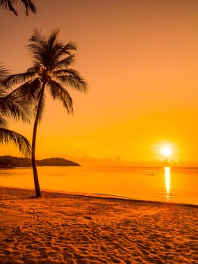 Güzel tropikal plaj deniz ve okyanus ile Hindistan cevizi hurma ağacı gündoğumu zaman seyahat ve tatil için