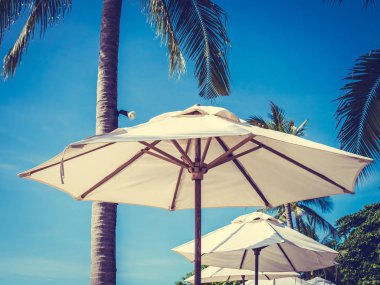 Hindistan cevizi hurma ağacı ile deniz okyanus seyahat ve tatil için mavi gökyüzü arka plan üzerinde Beyaz şemsiye