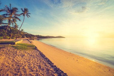 Günbatımı zaman tropik cennet ada plaj ve deniz ile Hindistan cevizi palmiye ağacı üzerinde tatil ve tatil için