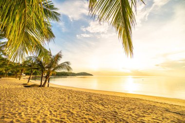 Günbatımı zaman tropik cennet ada plaj ve deniz ile Hindistan cevizi palmiye ağacı üzerinde tatil ve tatil için