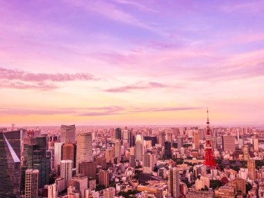 Japonya'da günbatımı zaman şehirde bina mimari ve tokyo kule güzel havadan görünümü