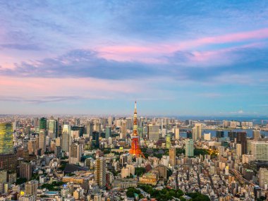 Japonya'da günbatımı zaman şehirde bina mimari ve tokyo kule güzel havadan görünümü