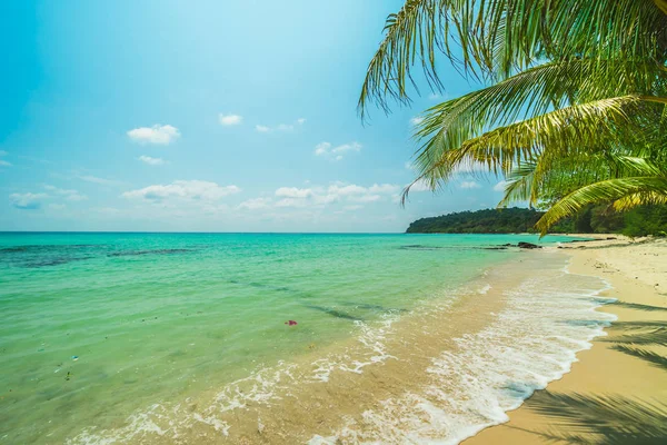 美丽的天堂海岛与海和海滩风景在椰子棕榈树附近 假日假期概念 — 图库照片